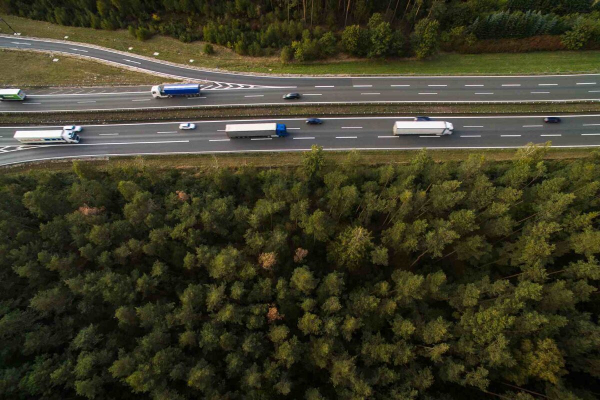 Voie rapide au milieu de la forêt partagée par les voitures et les poids lourds.