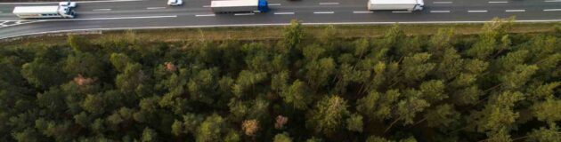 Voie rapide au milieu de la forêt partagée par les voitures et les poids lourds.